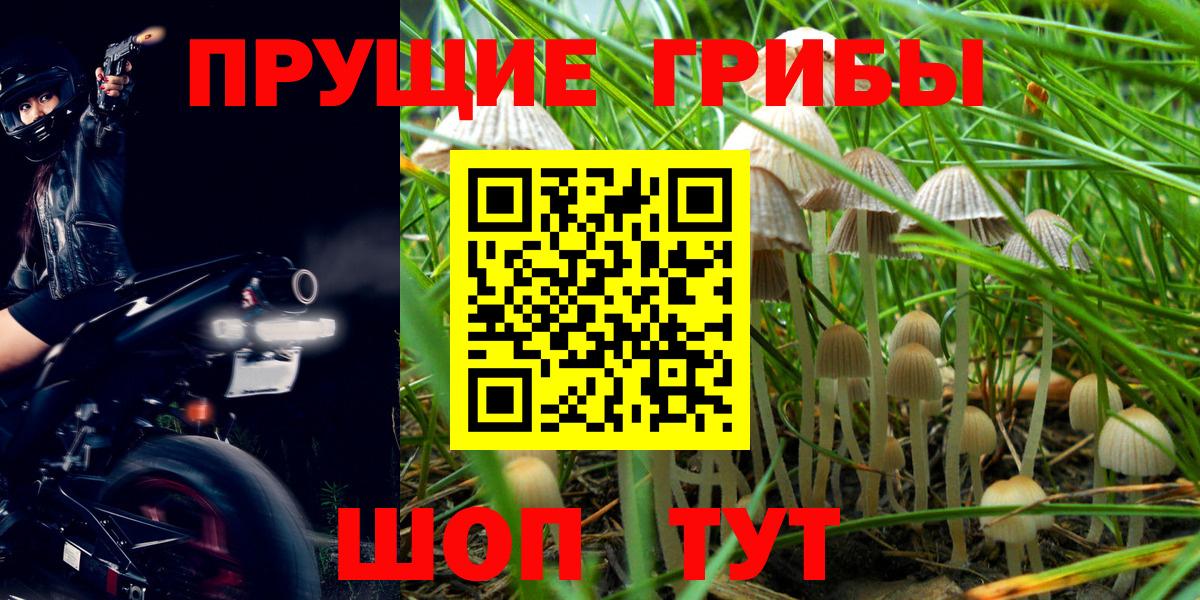 Верхний Уфалей  Псилоцибиновые грибы Psilocybine cubensis  Галлюциногенные грибы мицелий  Вход с VPN 
