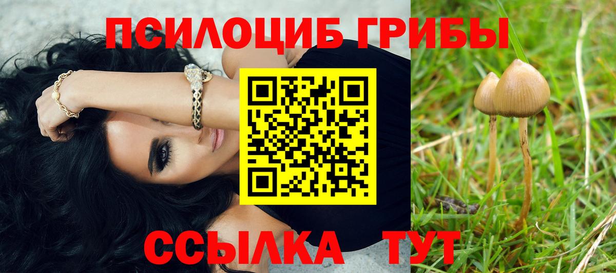 Галлюциногенные грибы GOLDEN TEACHER Верхний Уфалей